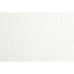 Clairefontaine Ölpap Rol weiss Lin 240g 10x1,30m