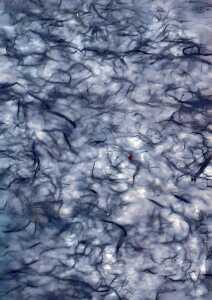 Clairefontaine Maulbeerpapier 65x95 violett 10Bg