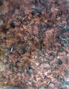 Clairefontaine Maulbeerpapier 65x95 br 10Bg