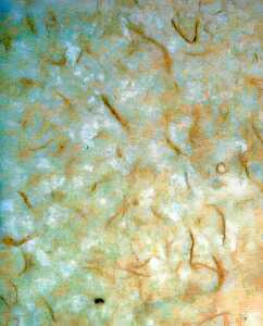 Clairefontaine Maulbeerpapier 65x95 gelb 10Bg