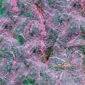 Clairefontaine Maulbeerpapier 65x95 himbeer 10Bg