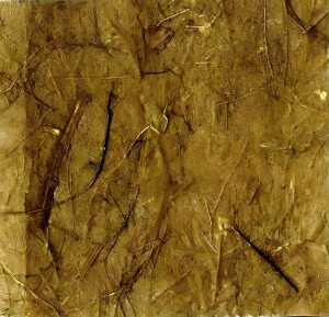 Clairefontaine Maulbeerpapier 65x95 schok 10Bg