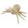Clairefontaine Spinne XS 3609510041366