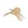 Clairefontaine Spinne XS 3609510041366
