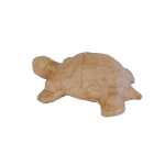 Clairefontaine Schildkröte XS 3760018726190