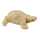 Clairefontaine Schildkröte XS 3760018726190