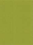 Avenue Mandarine Geschenkpapierbuch Jungs