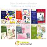 Avenue Mandarine Set Einführung in Origami