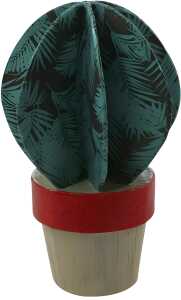 Clairefontaine Kugelkaktus 3609510010393