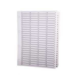 Regist ws Kart A4 100-teilig 1-100