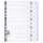 Register A4+ Karton 10tlg 1-10 ws