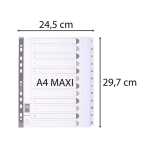 Register A4+ Karton 12tlg 1-12 ws