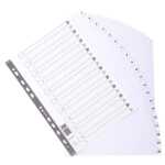 Register A4+ Karton 20tlg 1-20 ws