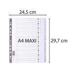 Register A4+ Karton 20tlg 1-20 ws