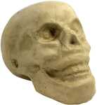 Clairefontaine Totenkopf S 3609510061845