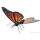 Invento Metal Earth Multicolor Schmetterling Monarch