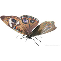 Invento Metal Earth Multicolor Schmetterling Buckeye