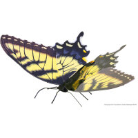 Invento Metal Earth Multicolor Schmetterling Tiger...