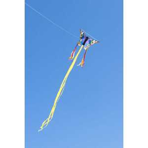 Butterfly Kite Buckeye R