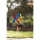 HQ Windspiel Hoffmanns Rotor 4031169269904
