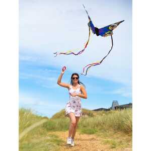 Butterfly Kite Buckeye L
