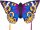 Invento Drachen Butterfly Kite Buckeye L