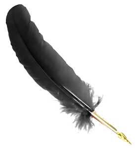 Rubinato Gänsekiel m Metallgriff als Federhalter 20er farbig sortiert