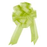 Star Ziehschleife mit Tüll grün 10er Box...