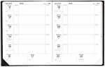 2026/2027 QUO VADIS Lehrerkalender Magister Impala, 21 x...