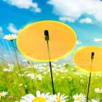 Elliot Lichtzauber Scheibe mini, 3 cm, orange