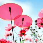 Elliot Lichtzauber Scheibe mini, 4 cm, rot