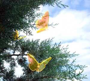 Elliot Lichtzauber Schmetterling mini, 5 cm, gelb, gebogen