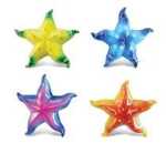 Elliot Seestern/Star Fish