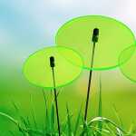 Elliot Lichtzauber Scheibe midi, 6 cm, grün