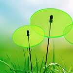 Elliot Lichtzauber Scheibe 10 cm grün mit 30 cm Stab