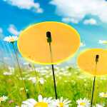 Elliot Lichtzauber Scheibe 10 cm orange mit 30 cm Stab