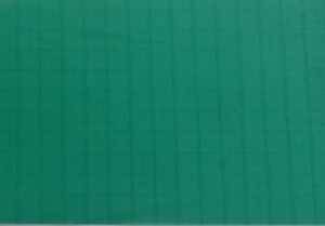 Elltex Spinnaker 150 cm green V20
