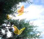 Elliot Lichtzauber Schmetterling klein, 10 cm, orange, gebogen