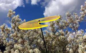 Elliot Lichtzauber Scheibe Wave 15 cm grün