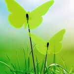 Elliot Lichtzauber Schmetterling gebogen 16 cm grün