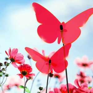 Elliot Lichtzauber Schmetterling mittel, 16 cm, rot, gebogen