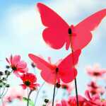 Elliot Lichtzauber Schmetterling mittel, 16 cm, rot, gebogen