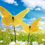 Elliot Lichtzauber Schmetterling groß, 20 cm,...