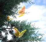 Elliot Lichtzauber Schmetterling groß, 20 cm, orange, gebogen