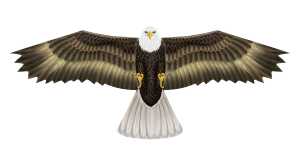 Elliot Drachen X-Kites Birds of Prey Eagle