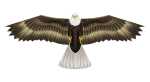 Elliot Drachen X-Kites Birds of Prey Eagle