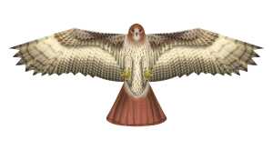 Elliot Drachen X-Kites Birds of Prey Hawk