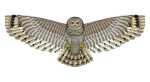 Elliot Drachen X-Kites Birds of Prey Owl