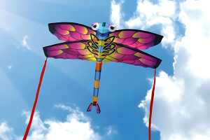 Elliot Drachen X-Kites SkyBugz Dragonfly