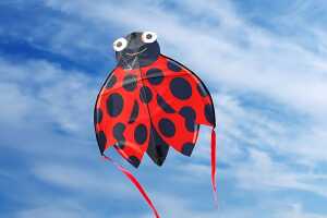 Elliot SkyBugz Kites - Ladybug